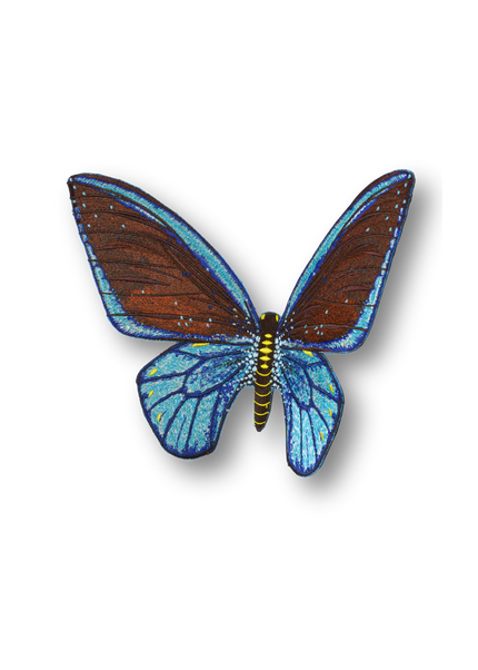 Cairns Birdwing Butterfly Patch