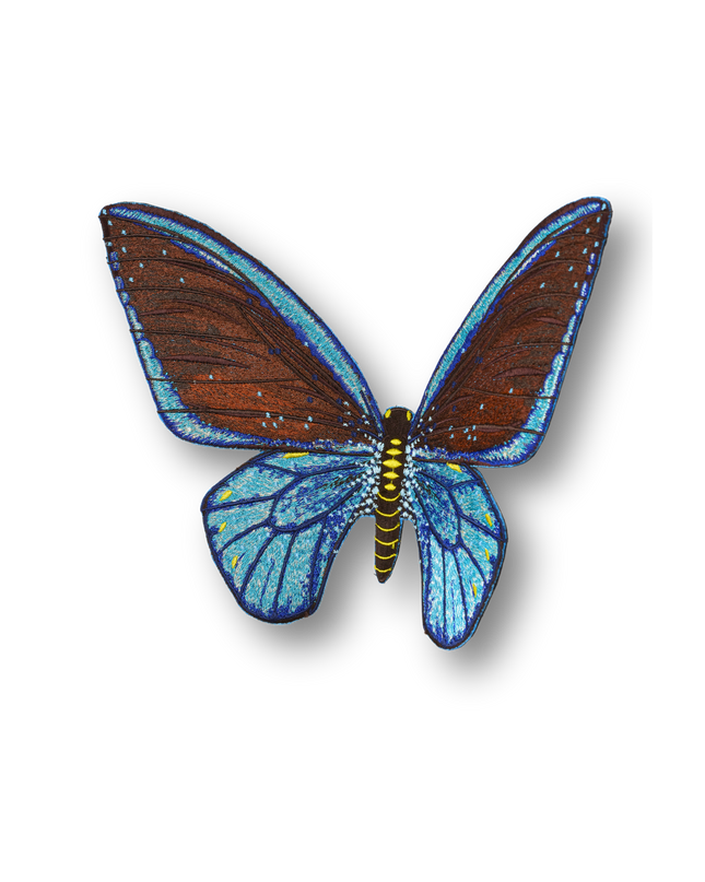 Cairns Birdwing Butterfly Patch