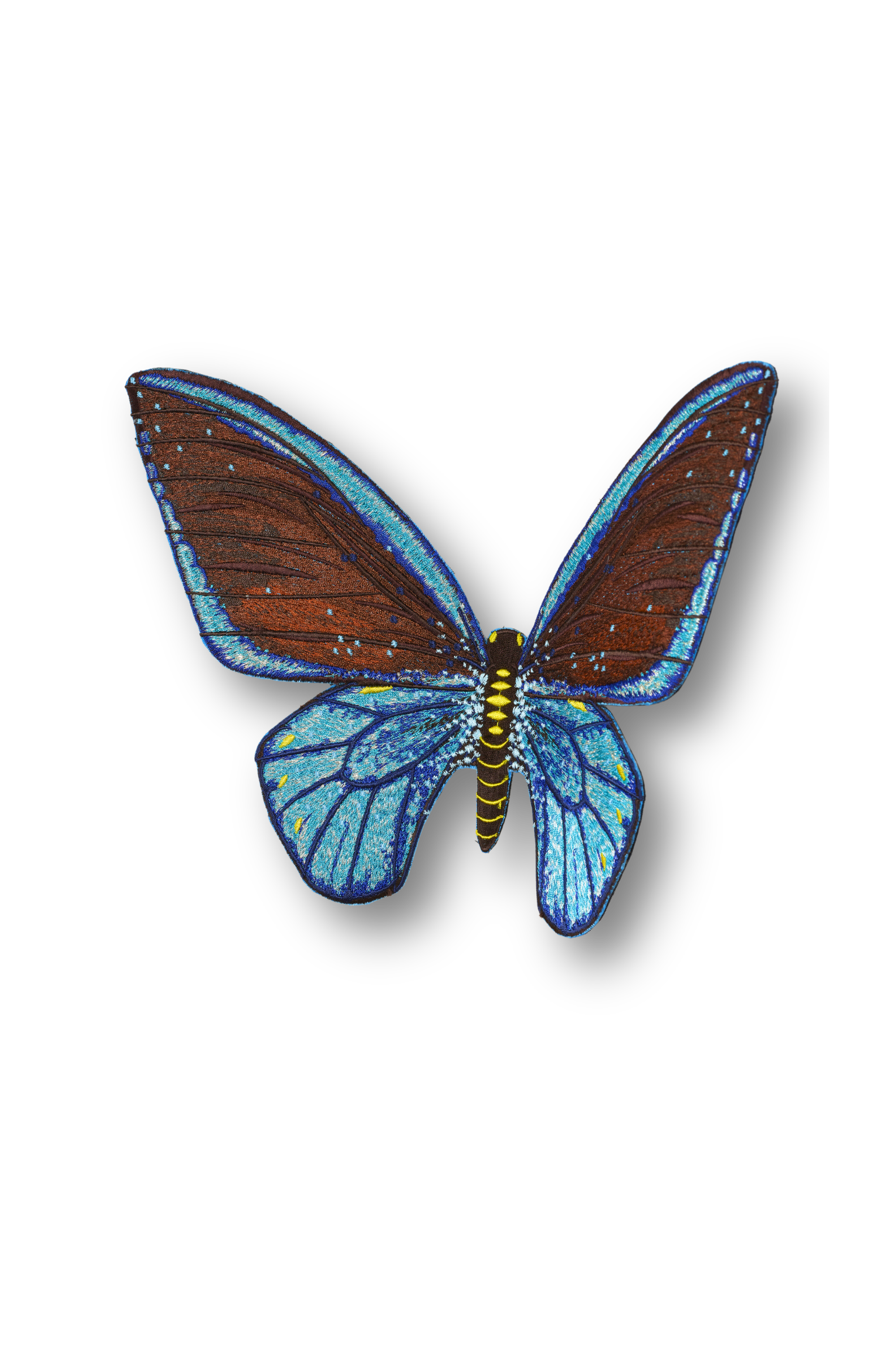 Cairns Birdwing Butterfly Patch