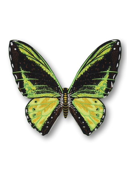 Green Birdwing Butterfly Patch