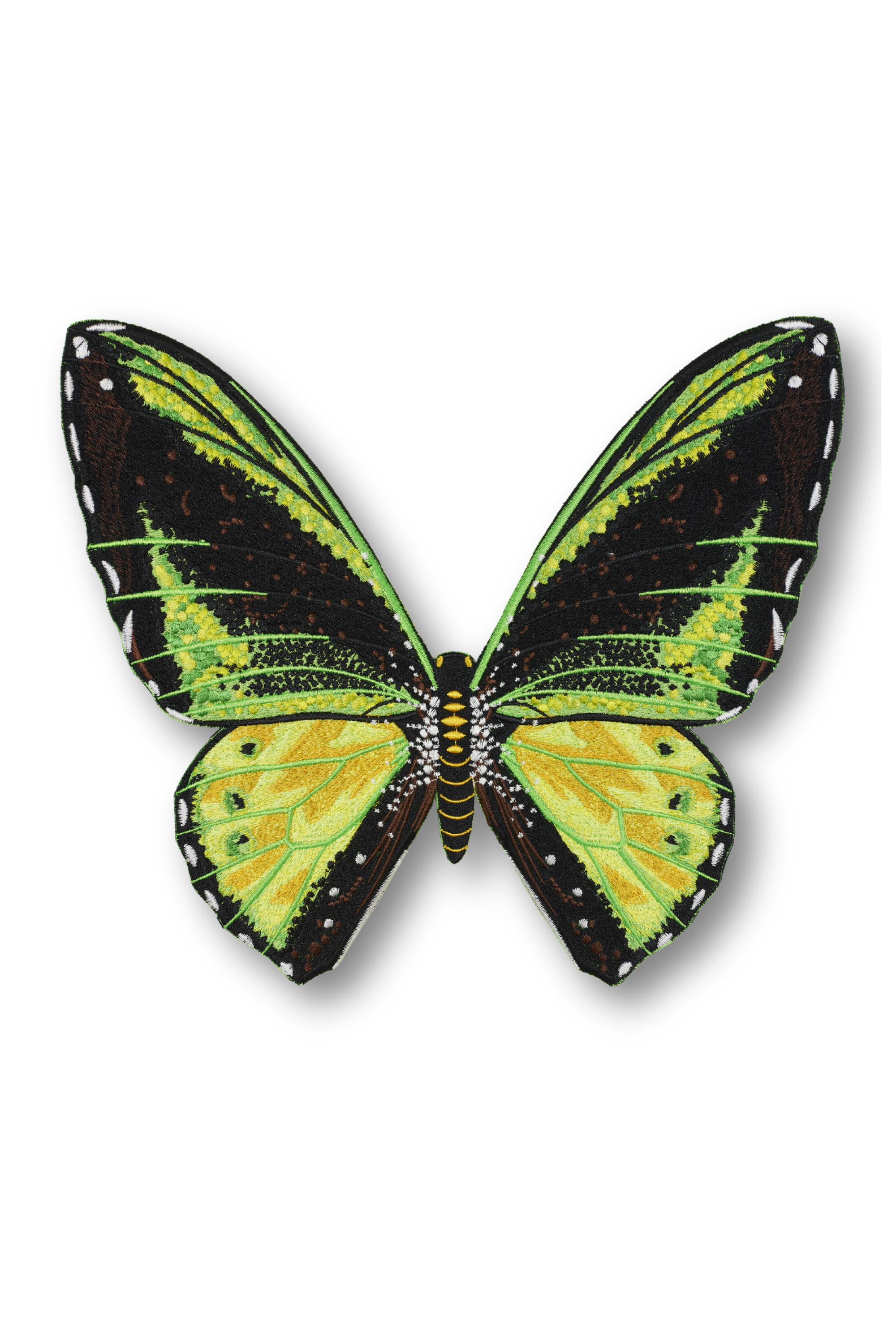 Green Birdwing Butterfly Patch