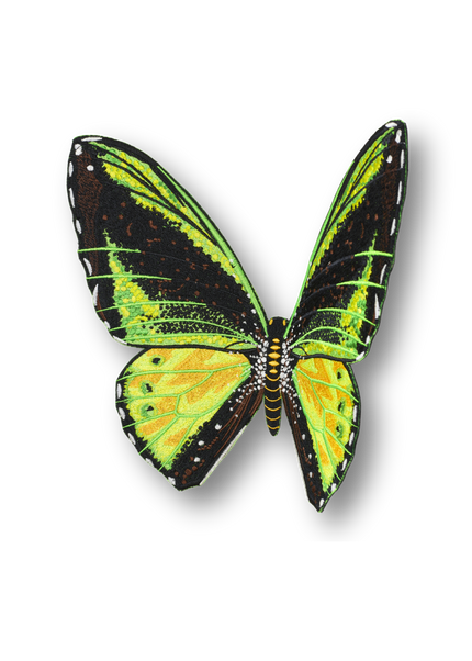 Green Birdwing Butterfly Patch