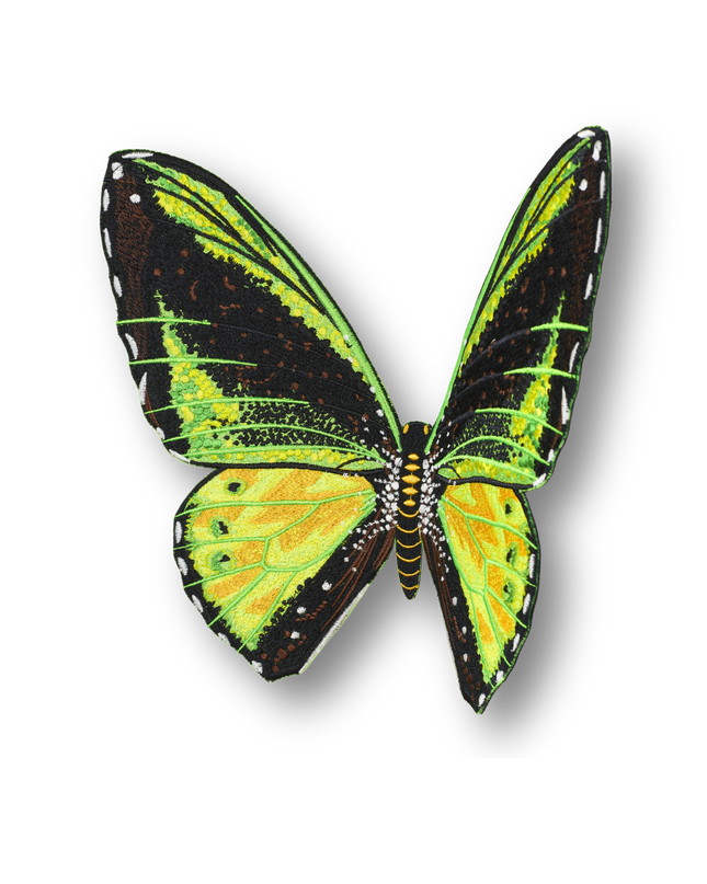Green Birdwing Butterfly Patch