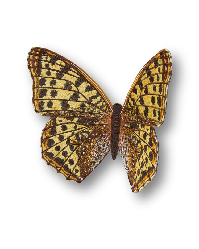Queen of Spain Butterfly Patch