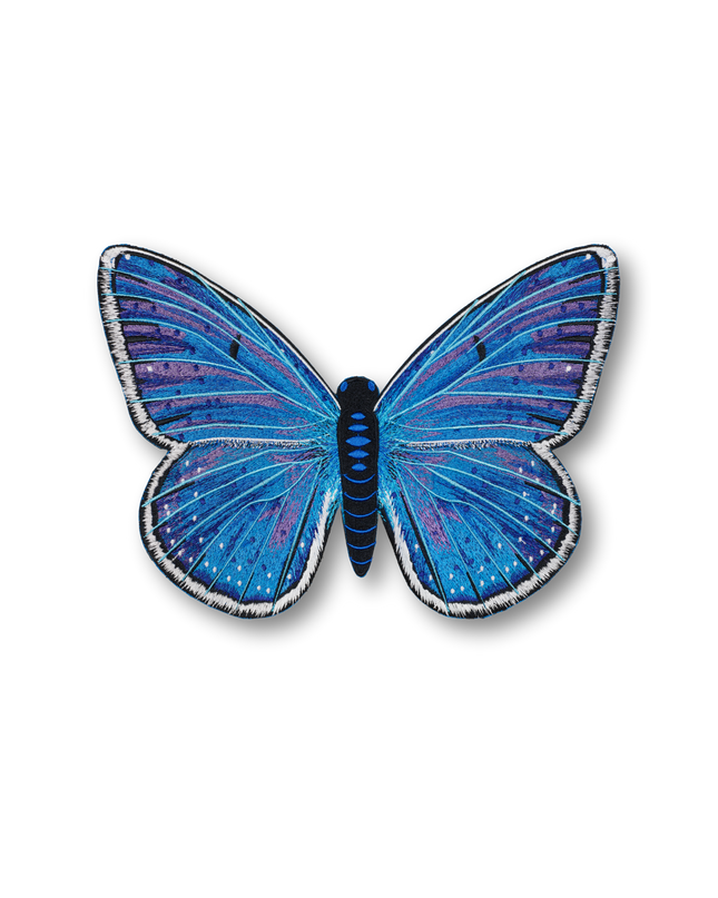 Adonis Blue Butterfly Patch