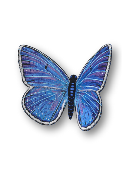 Adonis Blue Butterfly Patch