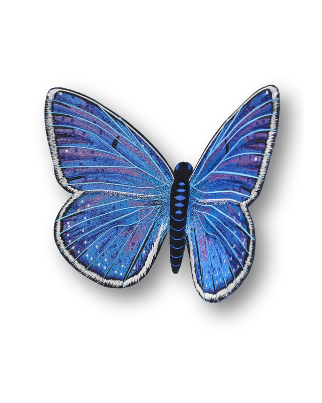 Adonis Blue Butterfly Patch