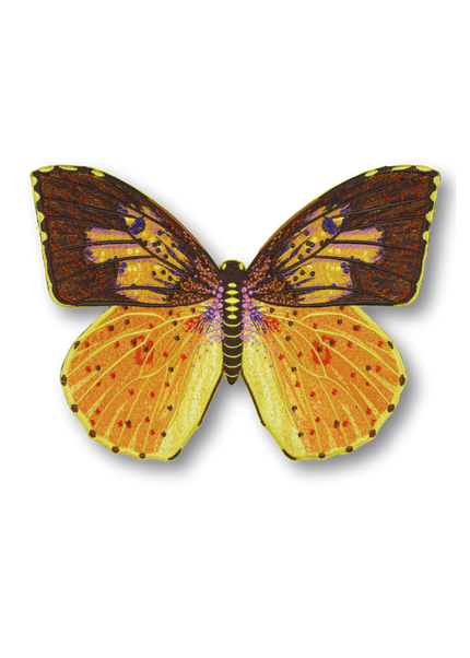 Southern Dogface Butterfly Patch