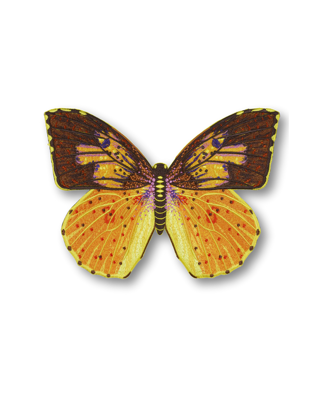 Southern Dogface Butterfly Patch