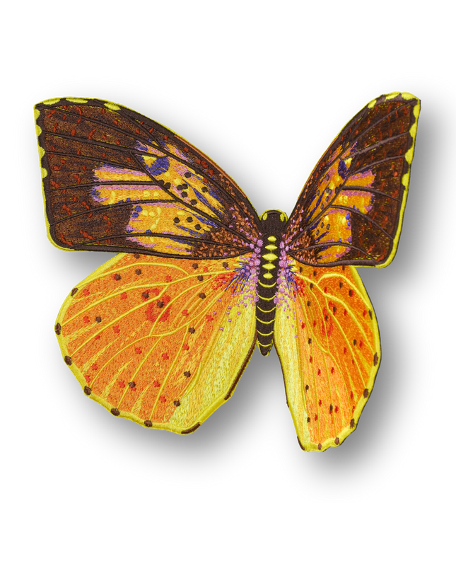 Southern Dogface Butterfly Patch