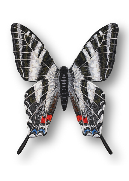 Zebra Swallowtail Butterfly Patch