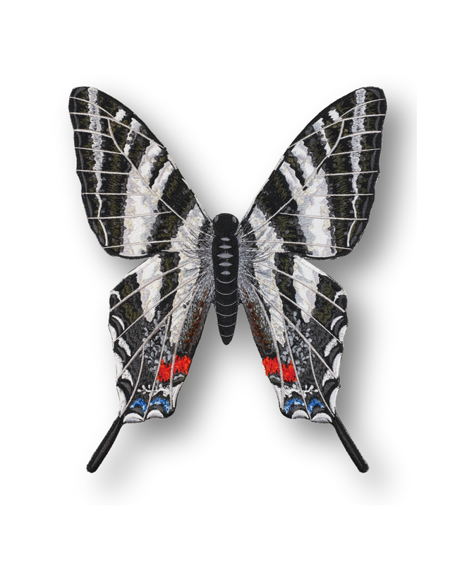Zebra Swallowtail Butterfly Patch