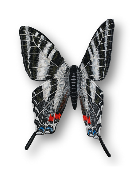 Zebra Swallowtail Butterfly Patch