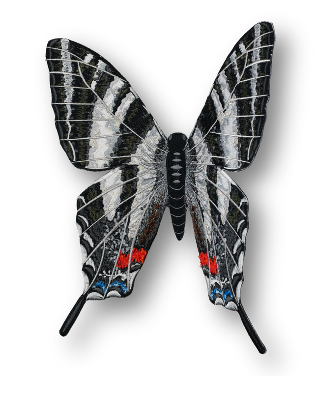 Zebra Swallowtail Butterfly Patch