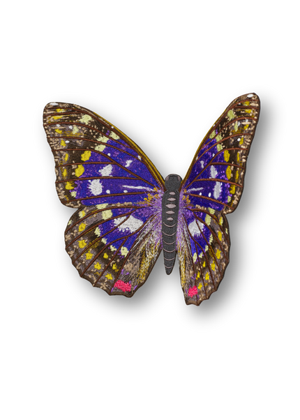 Emperor Butterfly Patch