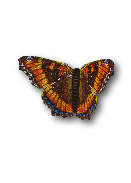 Milbert’s Tortoiseshell Butterfly Patch