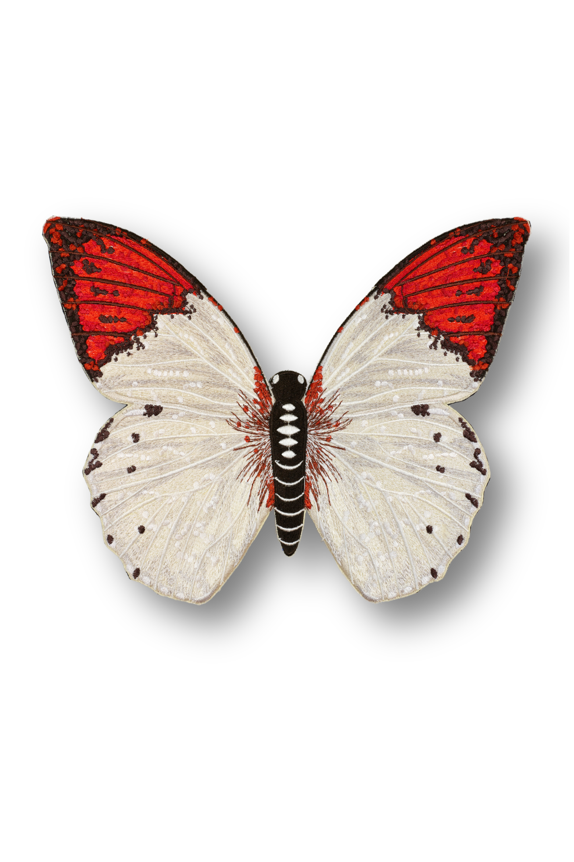 Pieridae Butterfly Patch