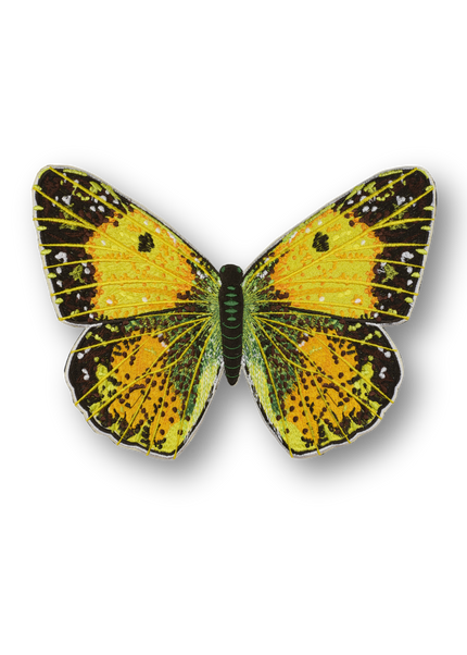 Clouded Sulphur Butterfly Patch