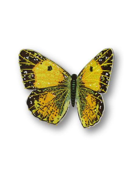 Clouded Sulphur Butterfly Patch