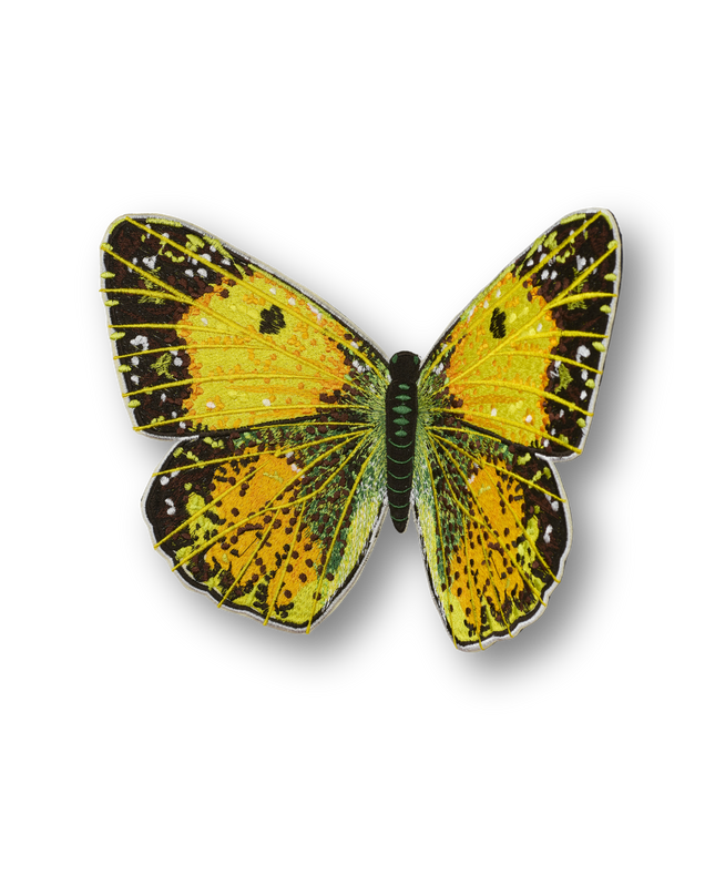 Clouded Sulphur Butterfly Patch