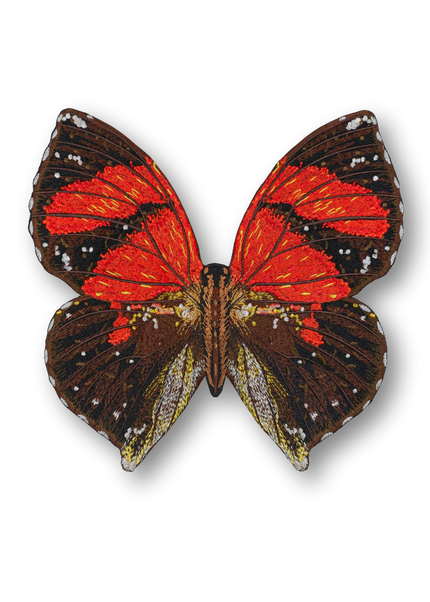 Ecuador Butterfly Patch