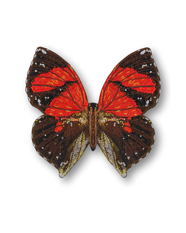 Ecuador Butterfly Patch