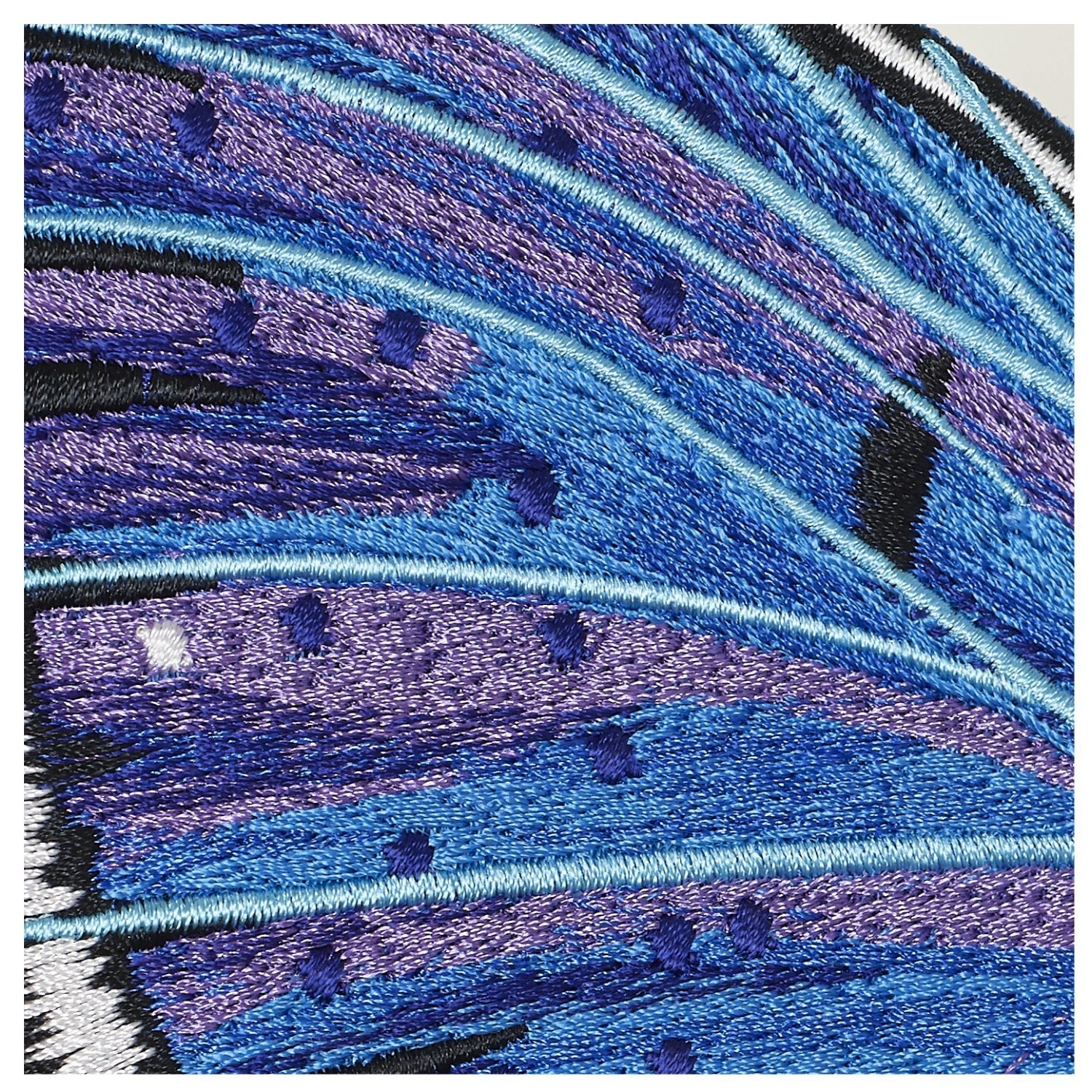 Adonis Blue Butterfly 6" through 12" - Stephen Wilson Studio