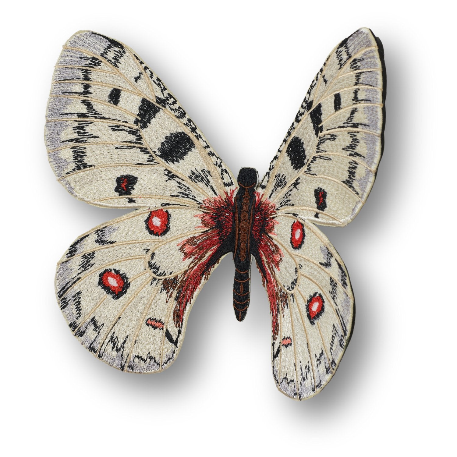 Apollo Butterfly 6" through 12" - Stephen Wilson Studio