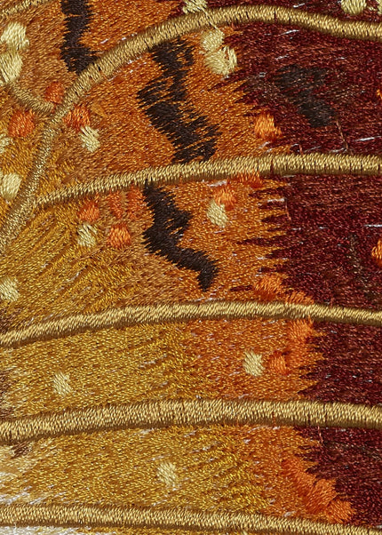 Charaxas Butterfly 6" through 12" - Stephen Wilson Studio