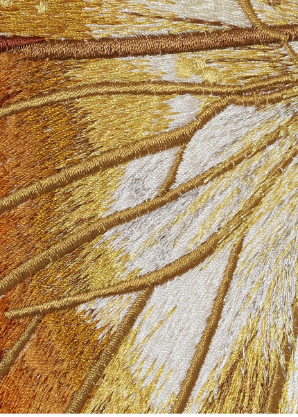 Charaxas Butterfly 6" through 12" - Stephen Wilson Studio