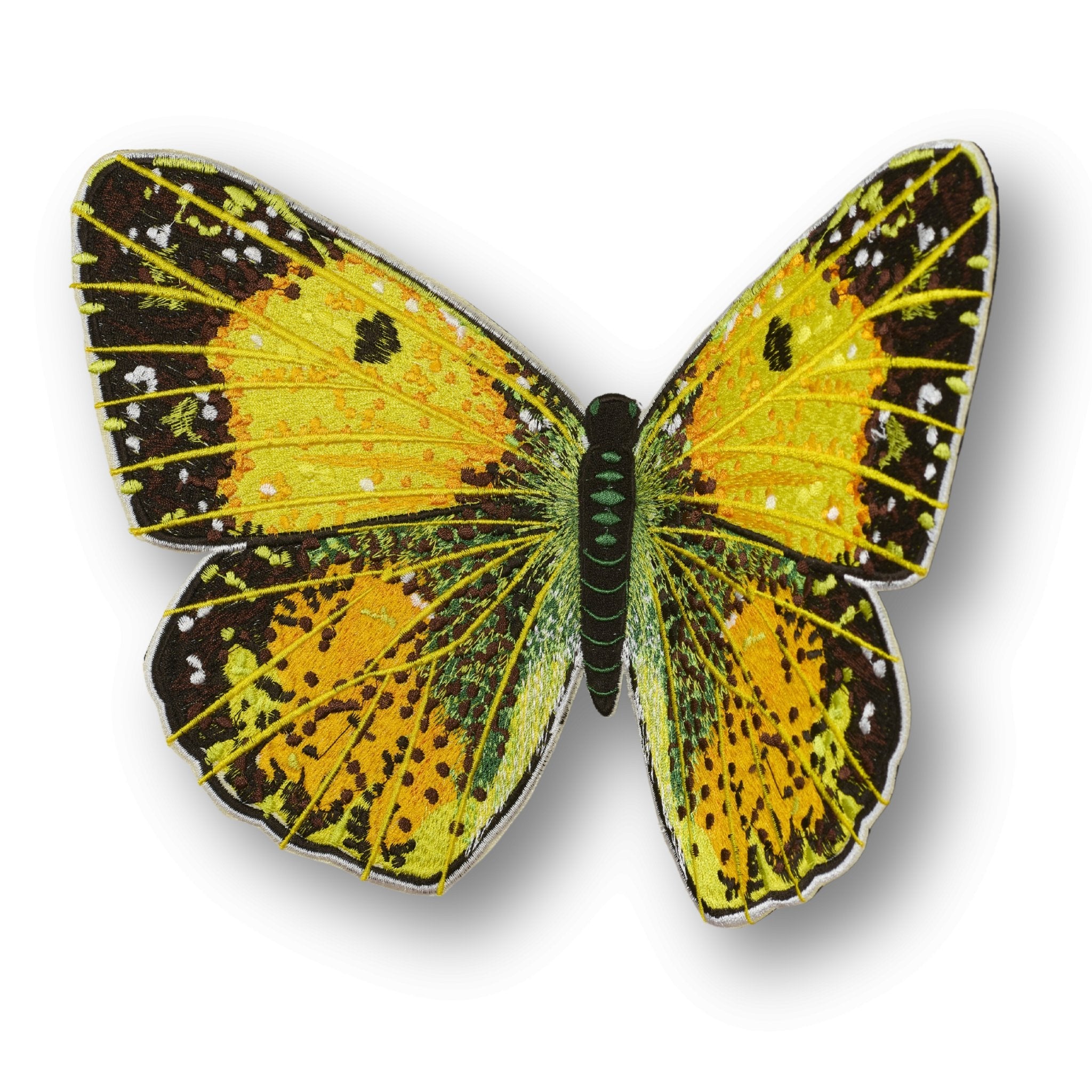 Clouded Sulphur Butterfly 6" through 12" - Stephen Wilson Studio