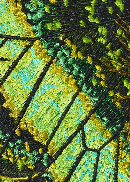 Emerald Swallowtail Butterfly 6" through 12" - Stephen Wilson Studio