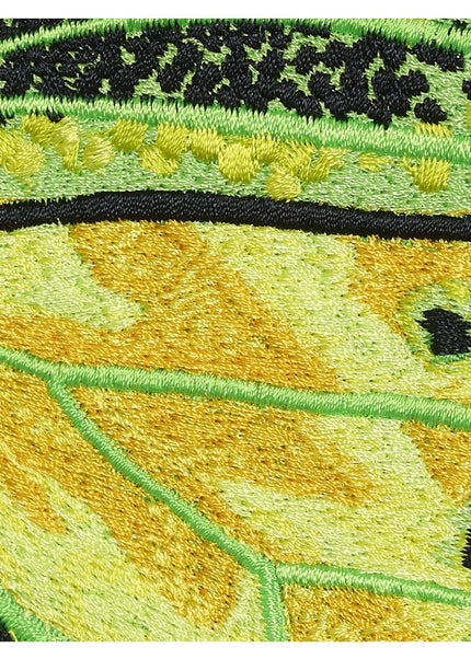 Green Birdwing Butterfly 6" through 12" - Stephen Wilson Studio