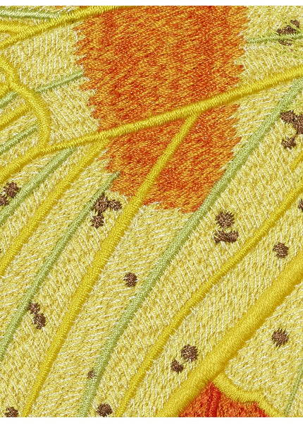 Orange Barred Sulpher Butterfly 6" through 12" - Stephen Wilson Studio