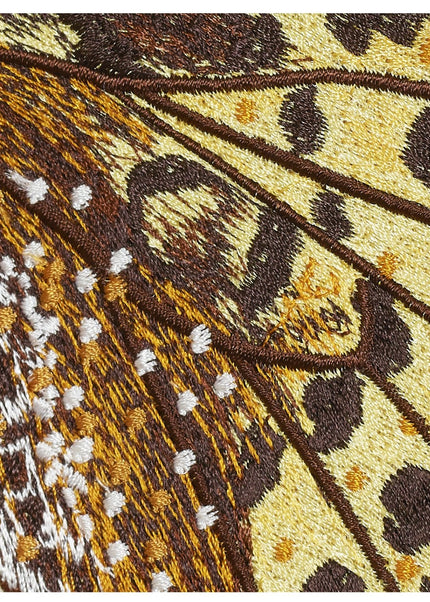Queen of Spain Butterfly 6" through 12" - Stephen Wilson Studio