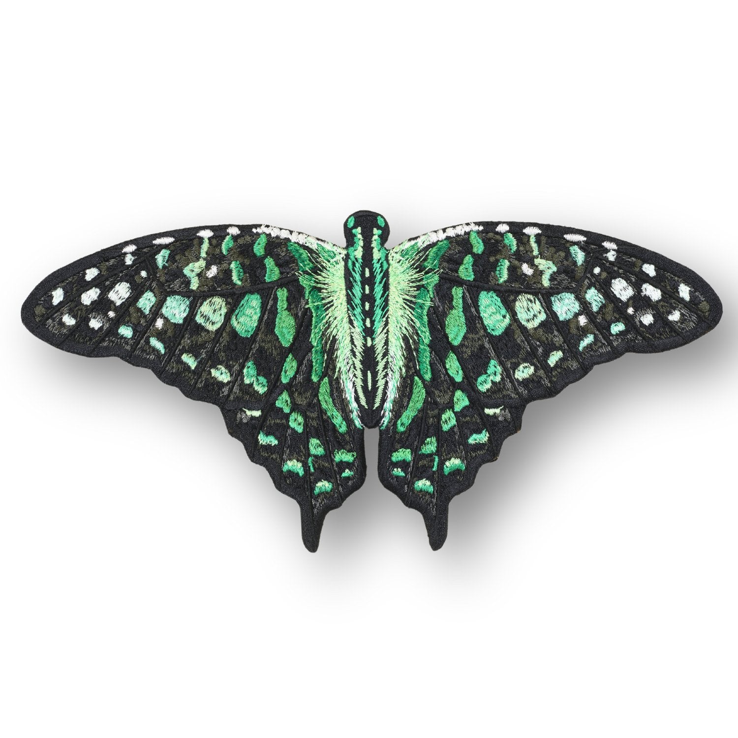 Tailed Jay Butterfly 6" through 12" - Stephen Wilson Studio