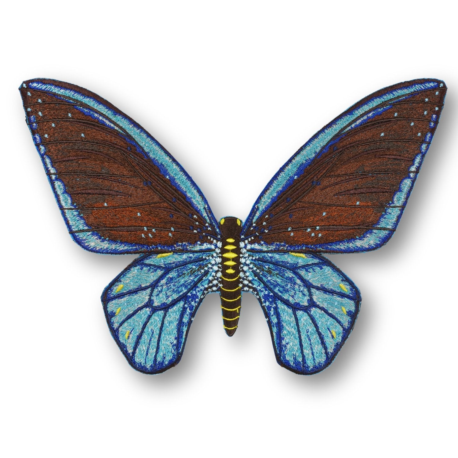 Ulysses Butterfly 6" through 12" - Stephen Wilson Studio