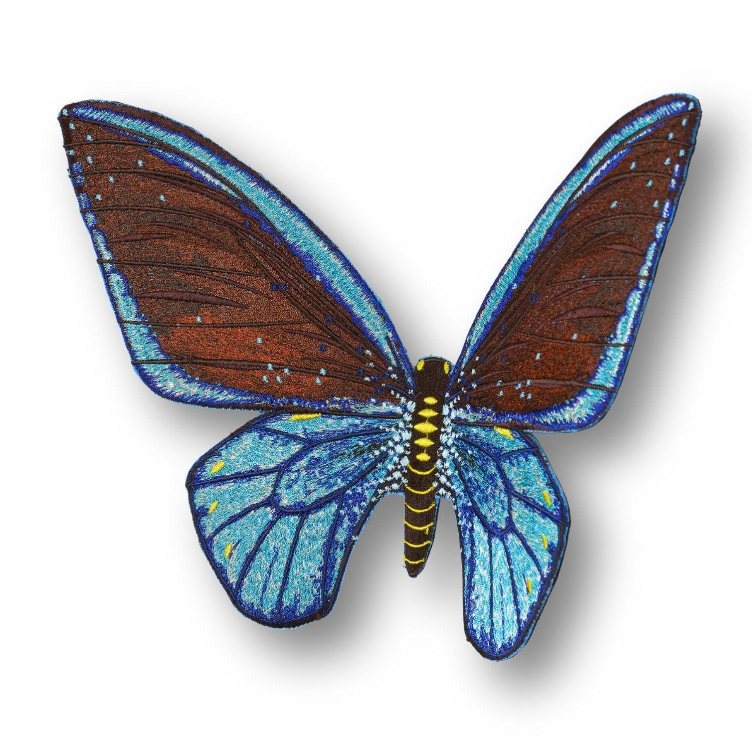 Ulysses Butterfly 6" through 12" - Stephen Wilson Studio