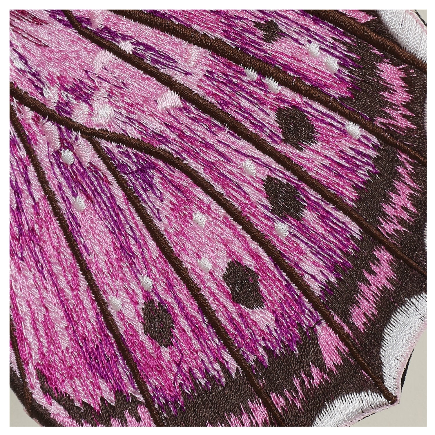 Violet Tip Brushveld Butterfly 6" through 12" - Stephen Wilson Studio